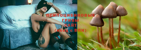 ГАЛЛЮЦИНОГЕННЫЕ ГРИБЫ Верхнеуральск