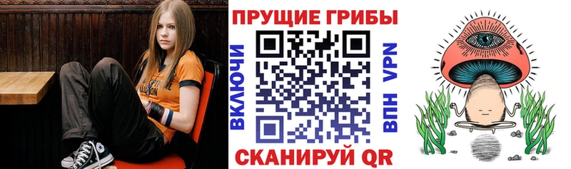Галлюциногенные грибы ЛСД  Купить  Горячеводский 