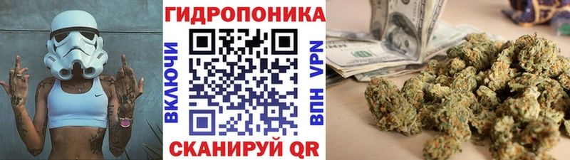 Купить  Горячеводский  Конопля гибрид 